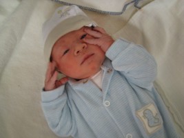 img_0486-1024x768-320x200