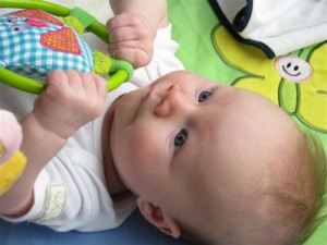 normal_img_1183_28small29